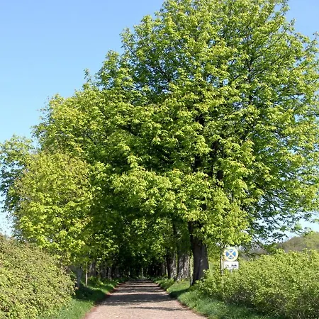 Strandnahe In Zentraler Aber Ruhiger Lage In Amanda Nr 09 Binz