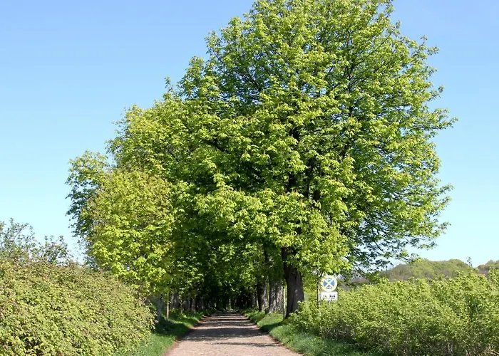 Strandnahe In Zentraler Aber Ruhiger Lage In Amanda Nr 09 Binz